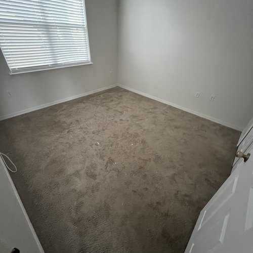 Before Guest